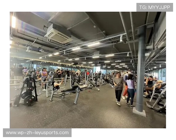 健身房的“巡场”：整理器械与暗中观察